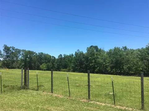 4680 Settles Rd, Molino, FL 32577 photo 43