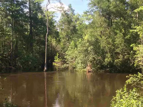 4972 Timothy Twitchell Dr, Milton, FL 32583 photo 7
