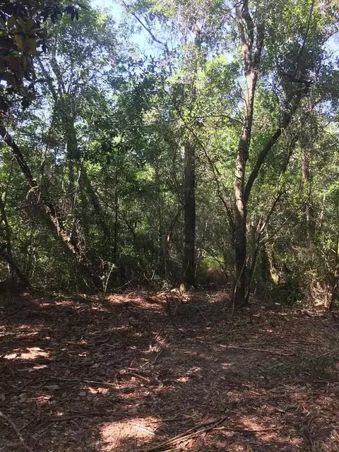 4972 Timothy Twitchell Dr, Milton, FL 32583 photo 4