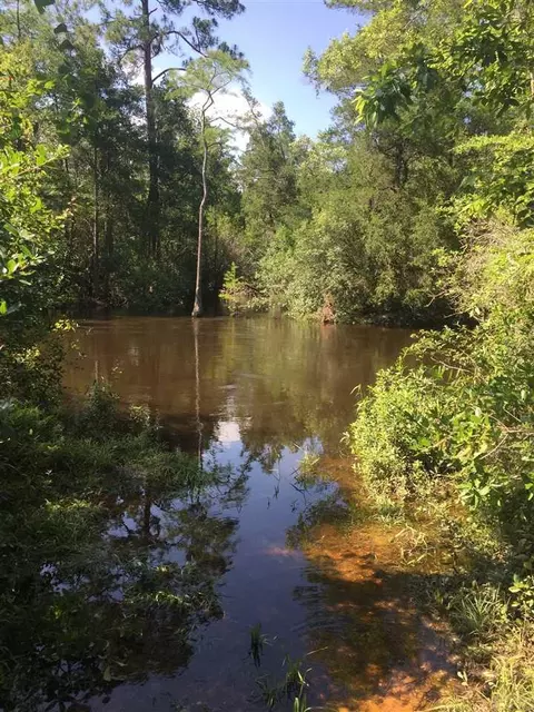 4972 Timothy Twitchell Dr, Milton, FL 32583 photo 5