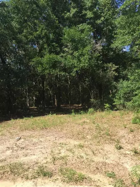 4972 Timothy Twitchell Dr, Milton, FL 32583 photo 2