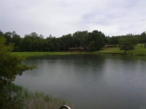 11242 S Lakeview Dr, Milton, FL 32583 photo 27