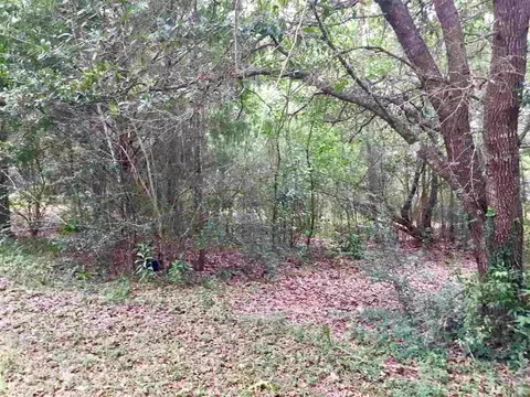 3225 Pine Forest Rd, Cantonment, FL 32533 photo 7