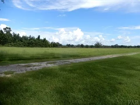 4730 Hall Rd, Mcdavid, FL 32568 photo 30