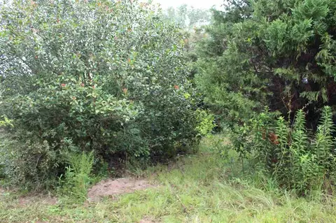 2787 Hwy 182, Jay, FL 32565 photo 14