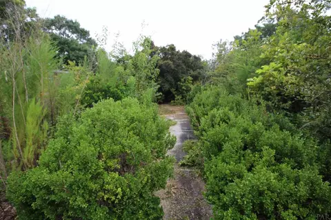 2787 Hwy 182, Jay, FL 32565 photo 19