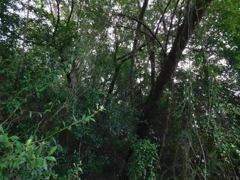 5613 Derby Dr, Pace, FL 32571 photo 6