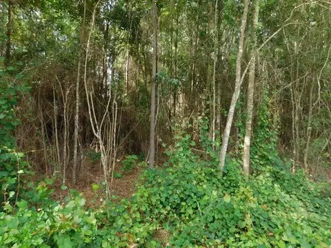 5613 Derby Dr, Pace, FL 32571 photo 3
