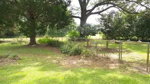 360 Cox Rd, Mcdavid, FL 32568 photo 30