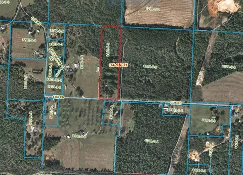 360 Cox Rd, Mcdavid, FL 32568 photo 34