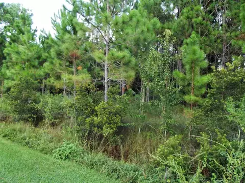 1096 Pearson Rd, Milton, FL 32583 photo 5