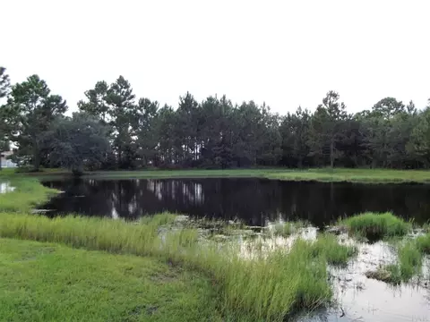 1096 Pearson Rd, Milton, FL 32583 photo 14