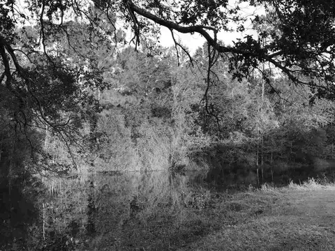 3925 Griffith Rd, Pace, FL 32571 photo 2