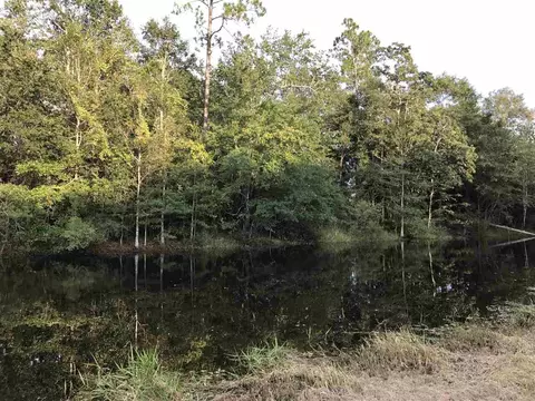 3925 Griffith Rd, Pace, FL 32571 photo 10