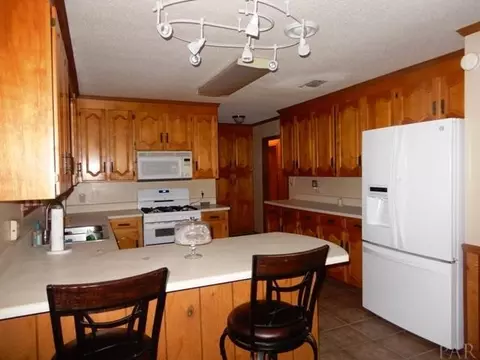 8561 Hwy 97, Mcdavid, FL 32568 photo 3