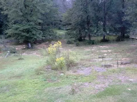 8561 Hwy 97, Mcdavid, FL 32568 photo 22