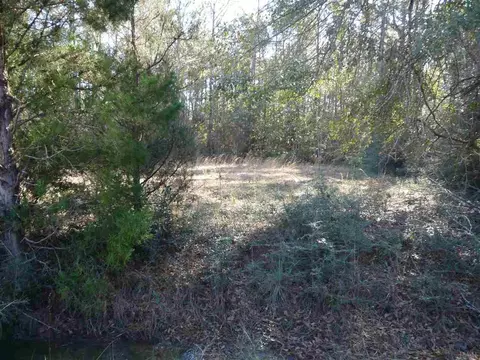 lot28 Shady Bayou Ln, Milton, FL 32583 photo 3