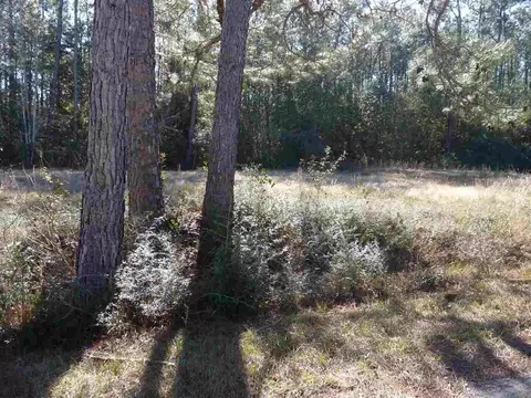lot28 Shady Bayou Ln, Milton, FL 32583 photo 10