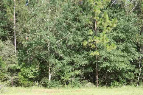 6399 Ray Cotton Rd, Baker, FL 32531 photo 26