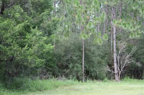 6399 Ray Cotton Rd, Baker, FL 32531 photo 22