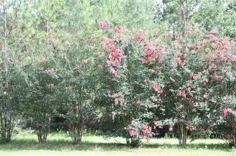 6399 Ray Cotton Rd, Baker, FL 32531 photo 25