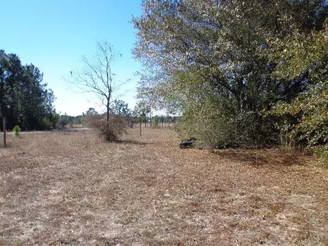 9330 Cotton Patch Ln, Milton, FL 32583 photo 6