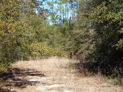 9330 Cotton Patch Ln, Milton, FL 32583 photo 8