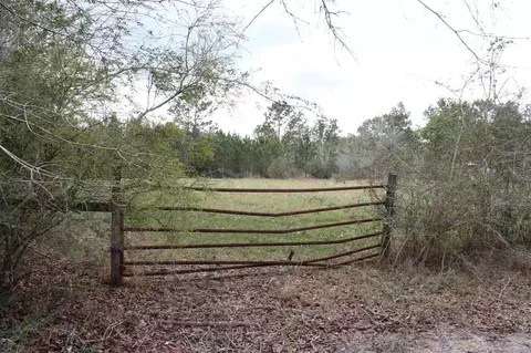 7507 Logger Head Ln, Milton, FL 32570 photo 25