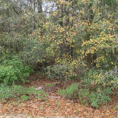 5167 Copperfield Dr, Pace, FL 32571 photo 11