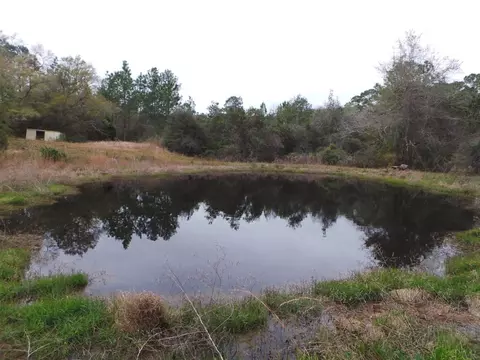 4851 Gilmore Rd, Holt, FL 32564 photo 7