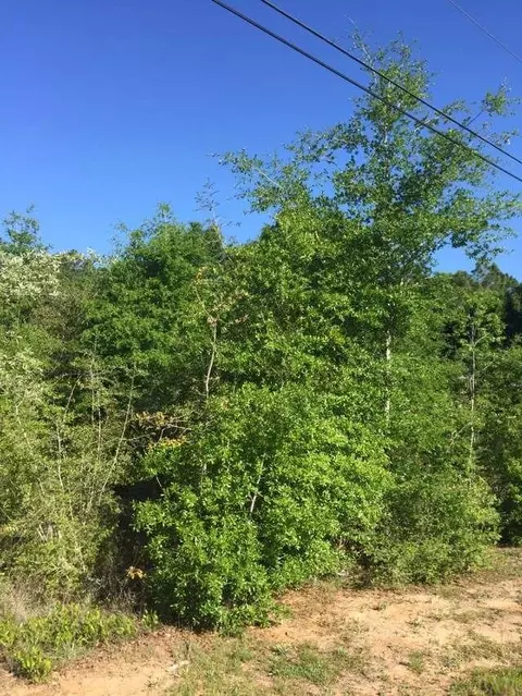 6857 Stirrup Ln, Milton, FL 32570 photo 7