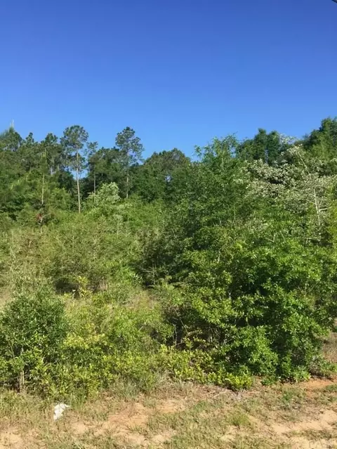 6857 Stirrup Ln, Milton, FL 32570 photo 2