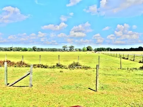 4032 Nowling Rd, Jay, FL 32565 photo 14