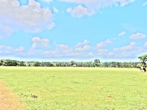 4032 Nowling Rd, Jay, FL 32565 photo 26
