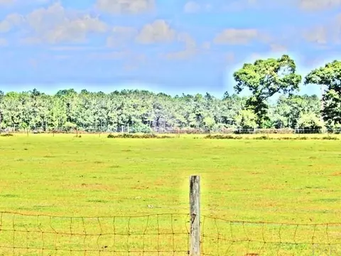 4032 Nowling Rd, Jay, FL 32565 photo 15