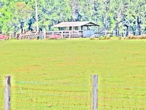4032 Nowling Rd, Jay, FL 32565 photo 21