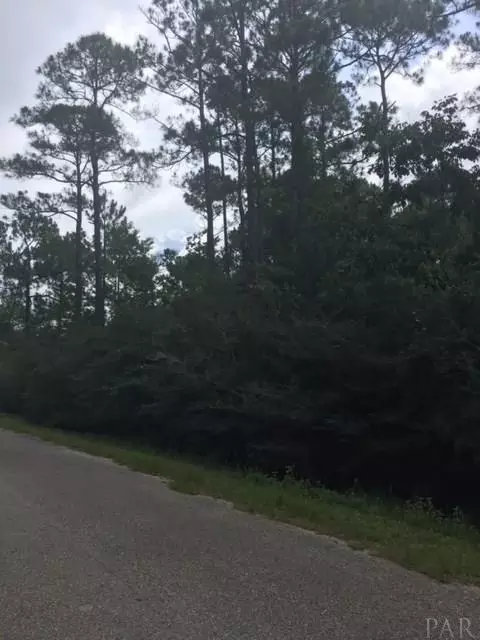 965 Dolphin Rd, Milton, FL 32583 photo 3