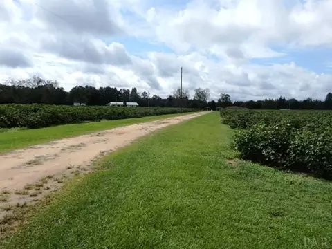 5610 Pine Forest Rd, Mcdavid, FL 32568 photo 25