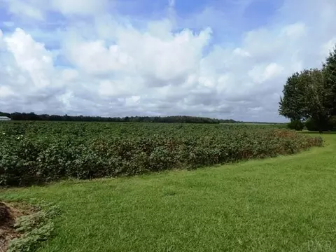 5610 Pine Forest Rd, Mcdavid, FL 32568 photo 24