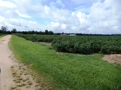 5610 Pine Forest Rd, Mcdavid, FL 32568 photo 23
