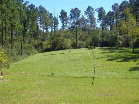 6748 Oser Rd, Milton, FL 32570 photo 38