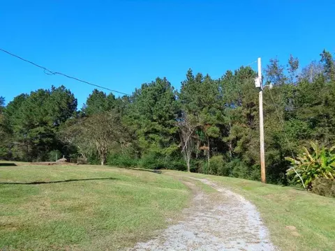 7950 Hwy 97, Walnut Hill, FL 32568 photo 12