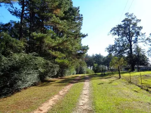 7950 Hwy 97, Walnut Hill, FL 32568 photo 6