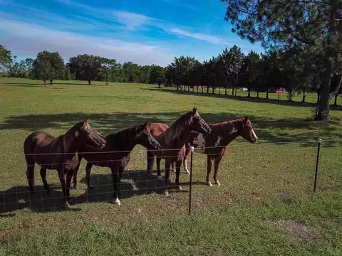 5288 Short Trl, Milton, FL 32583 photo 4
