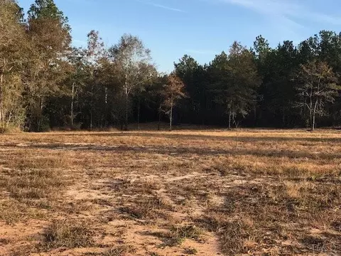 2011 Ten Mile Rd, Pace, FL 32571 photo 3