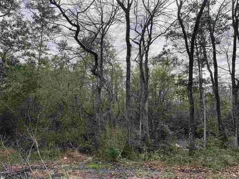 8828 Byrom Campbell Rd, Pace, FL 32571 photo 42