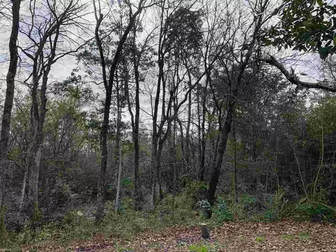 8828 Byrom Campbell Rd, Pace, FL 32571 photo 41
