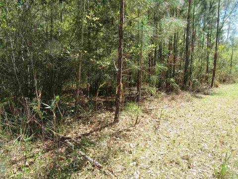 4657 Bayside Dr, Milton, FL 32583 photo 7