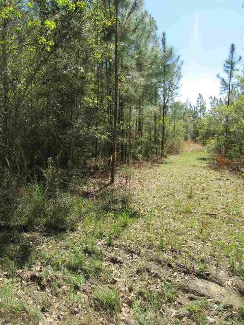 4657 Bayside Dr, Milton, FL 32583 photo 6
