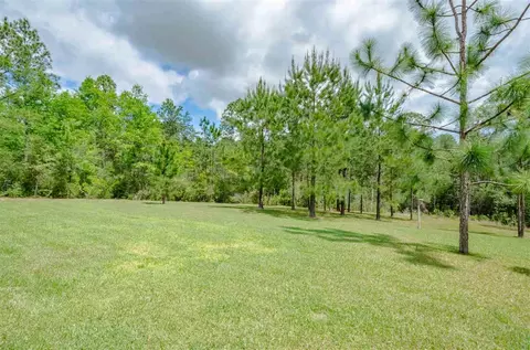 2195 Windham Dr, Molino, FL 32577 photo 16